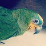 Lora_trans - @lora_trans0 - Instagram