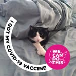 Lora Trimble - @scoobydoo603 - Instagram