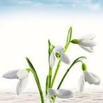 Lori Trimble - @lori_trimble - Instagram