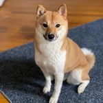 Lora Weaver Getts - @wigle36 - Instagram