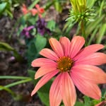 Lori Whitaker - @loriw6570 - Instagram