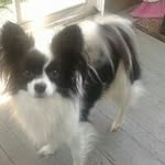 Lori Whitaker - @loriwhitaker - Instagram