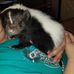 Lora Wills - Facebook