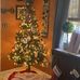 Lora Wood - Facebook