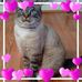 Lora Wright - Facebook
