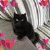 Lorraine Barnes - Facebook
