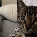Lorraine Bishop - @lozza.bishop - Instagram