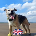Lorraine Bishop - @lorrainebishop997 - Instagram