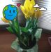 Lorraine W Chase - Facebook