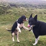 Lorraine Cooper - @lorraineandyerry - Instagram