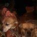 Lorraine Fields - Facebook