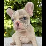 Loraine Freeman - Facebook