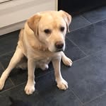 Lorraine Freeman - @lorrainef07 - Instagram