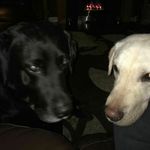 Lorraine Graves - @lorraine.graves.16 - Instagram