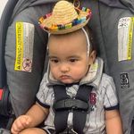 Lorraine Graves Roach - @dogfood202 - Instagram