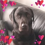 Loraine Gray - @dizzymum65 - Instagram