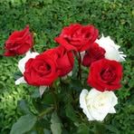 Loraine Green - Facebook