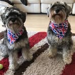 Loraine Green - Facebook