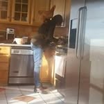Lorraine Hoffman - @lorraine.hoffman.77 - Instagram