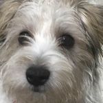 Loraine Johnson - @lorainejohnson551 - Instagram
