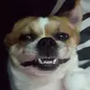 Loraine - @lorainelee222 - TikTok