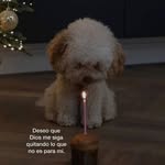 Loraine Luna - @ya.neth2709 - Instagram