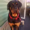 lorraine marshall - @lorraine.marshall24 - TikTok
