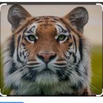 Kirsty Loraine Murphy - @kirstymurphy1976 - Instagram