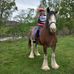 Loraine Murray - Facebook