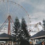 Loraine Nolan - @lorainenolan641 - Instagram
