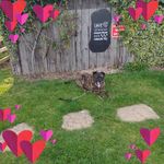 Lorraine Nolan - @lorraine.nolan.566 - Instagram