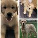 Loraine Perry - Facebook