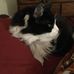 Lorraine Perry - Facebook