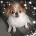 Lorraine Perry - Facebook