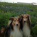 Loraine Ray - Facebook