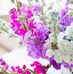 Loraine Ray - Facebook