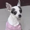 Loraine de Hernandez - @lorainesandoval3104 - TikTok