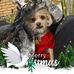 Lorraine Snow - Facebook