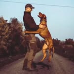 Lóránt Kovács - @lorantk30 - Instagram