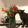 lore arnold - @lore.arnold - TikTok