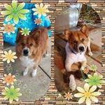 Loree Arnold - @loreearnold - Instagram