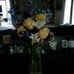 Loree Fant - Facebook