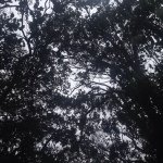 Loree - @loree.green - Instagram