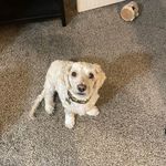 Loree Ernst Smith - @lsmith10052022 - Instagram