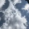 Lorelei - @loreleigallaher - TikTok