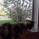 Lorelei Johnson - @redheadlore - Instagram