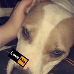 Lorelei Meyer - @hayl.ee773 - Instagram