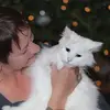 Lori Reid - @loreleireid - TikTok
