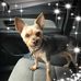 Loralie Schultz - Facebook