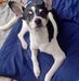 Lorelei Smith - Facebook